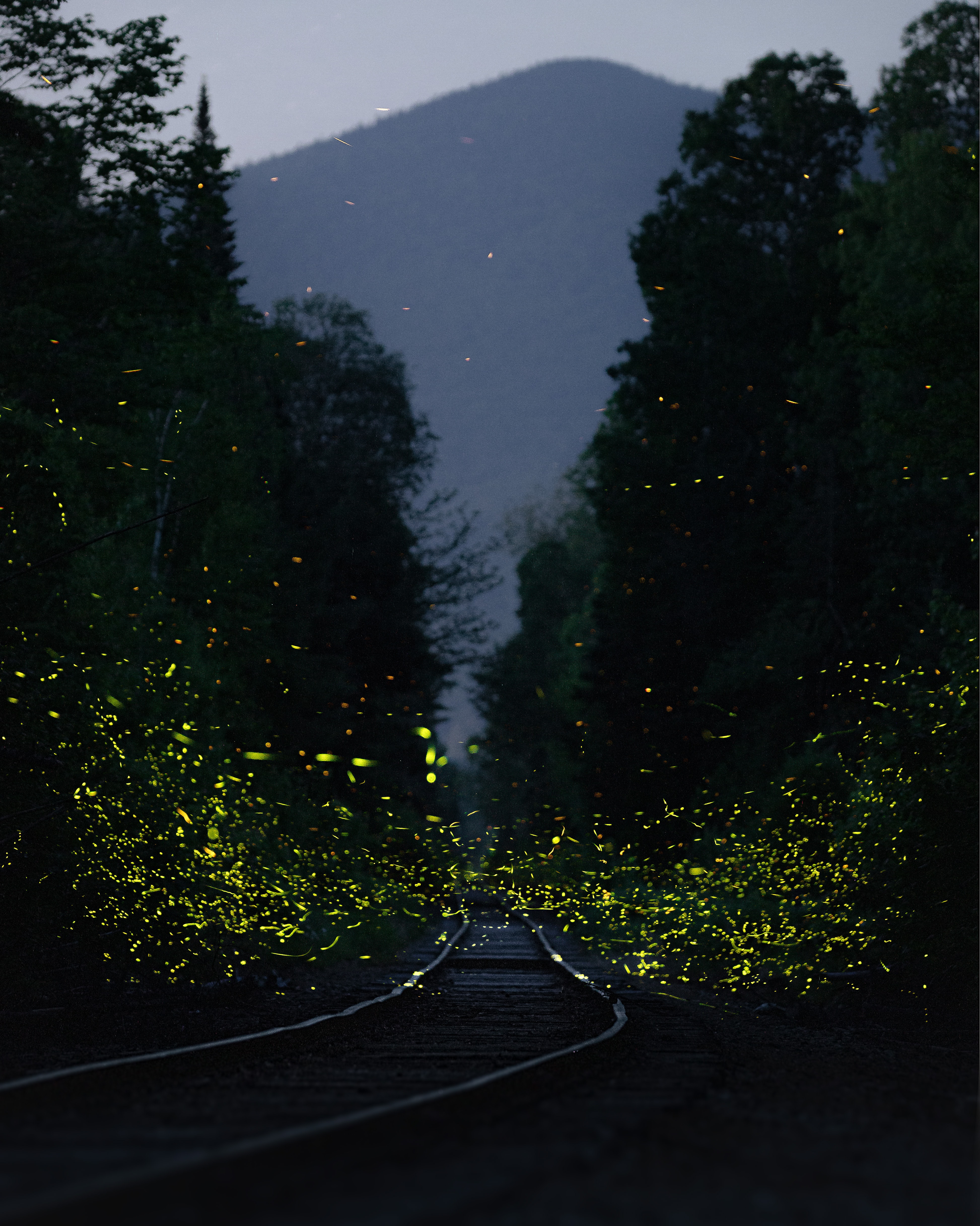Rajmachi Camping - Fireflies Special
